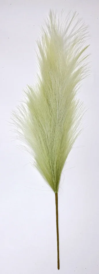 Linea Due Elle Pampas con Stelo 70 Cm Verde e Bianco