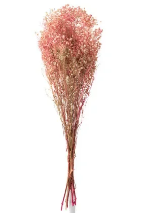 Mazzo Gypsophila Secche Rosa 10x5x84 Sconti