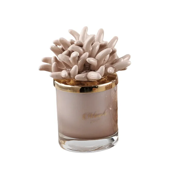 Melaverde Candela Media Anemone Tortora 200 gr Online ora