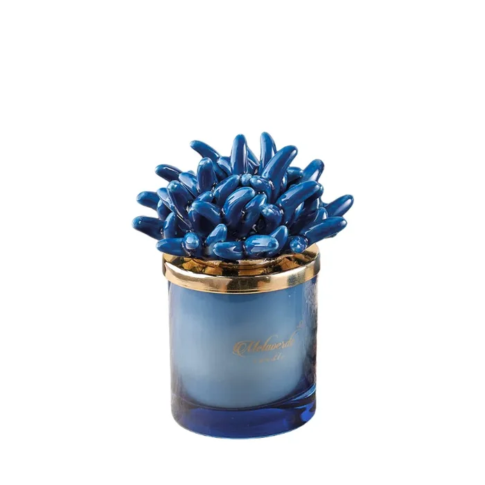 Melaverde Candela Piccola Anemone Blu 100 gr Online ora