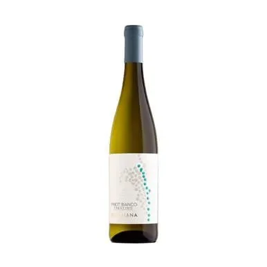 Pinot Bianco Trentino 2023 – Cantina Rotaliana
