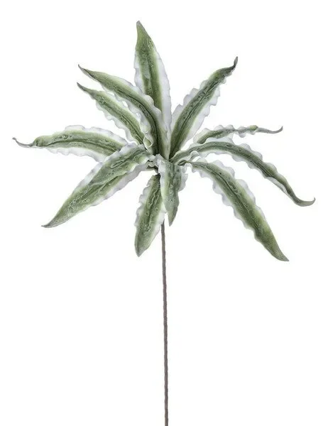 RAMO ALOE VARIEGATA VERDE 40X98H IN FIL DI FERRO ED ETILE E ESPANSO