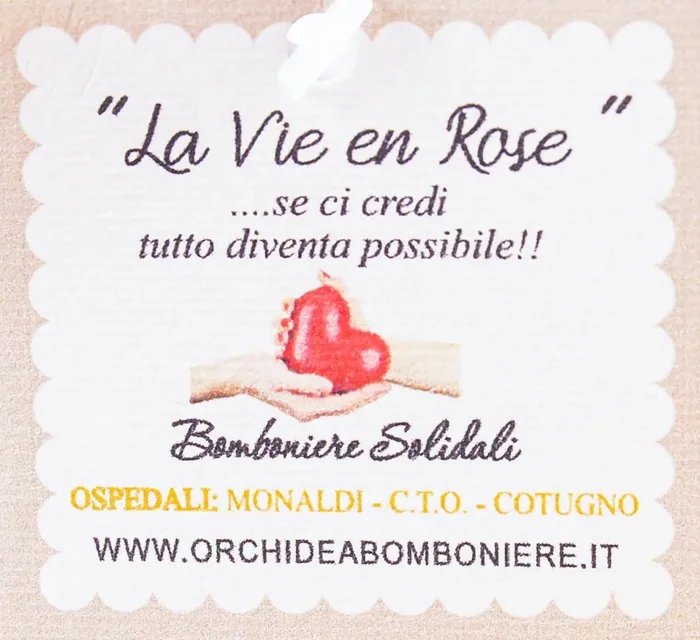 Sacchettone con Rose e Sali Profumati La Vie en Rose - immagine 3