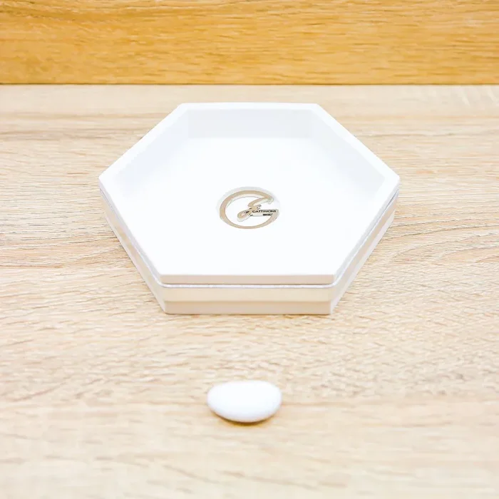 Svuotatasche Argento Gattinoni