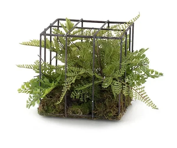 Tono Su Tono Felci Cubo Ferro 150 x 150 x 150 Mm