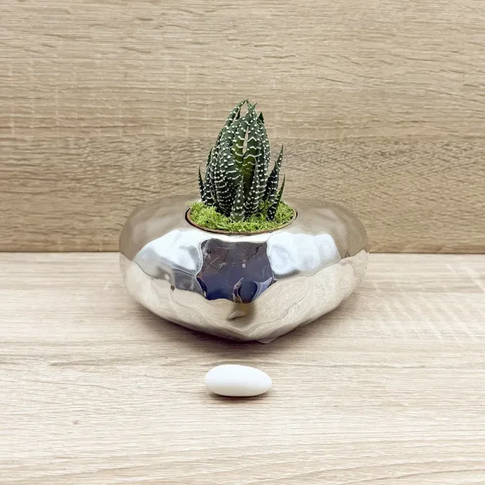 Vaso Cuore Argento con Piantina e Muschio Claraluna