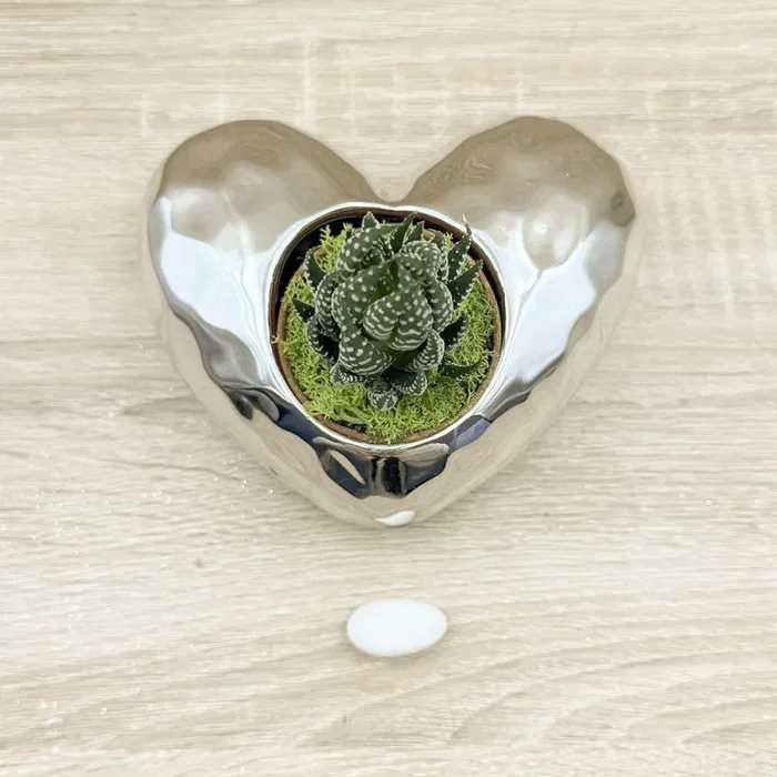 Vaso Cuore Argento con Piantina e Muschio Claraluna - immagine 2