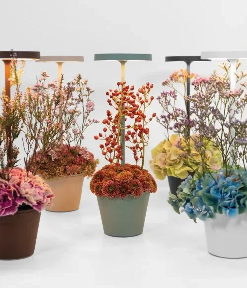 Zafferano Poldina Reverso Sabbia – Lampada da Tavolo a Led H35cm - immagine 2